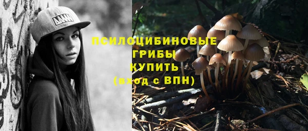 крисы Ладушкин