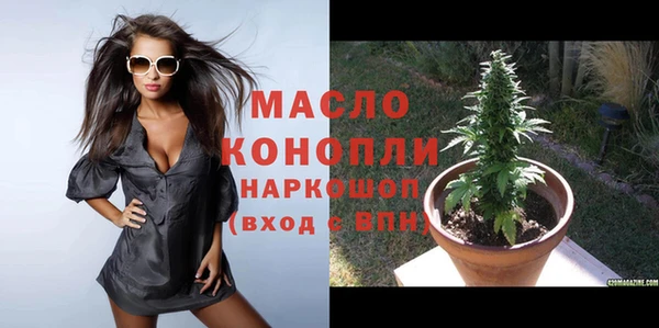индика Лабытнанги